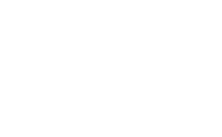 Placeholder Logo